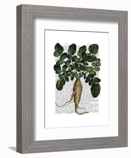 Parsnip 1-Fab Funky-Framed Art Print