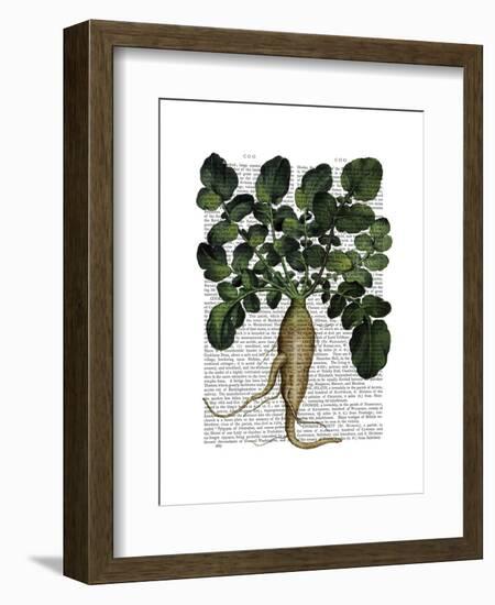 Parsnip 1-Fab Funky-Framed Art Print