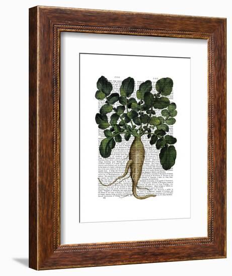 Parsnip 1-Fab Funky-Framed Art Print