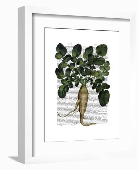 Parsnip 1-Fab Funky-Framed Art Print