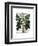 Parsnip 2-Fab Funky-Framed Art Print