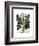 Parsnip 2-Fab Funky-Framed Art Print