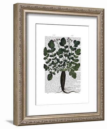 Parsnip 4-Fab Funky-Framed Art Print