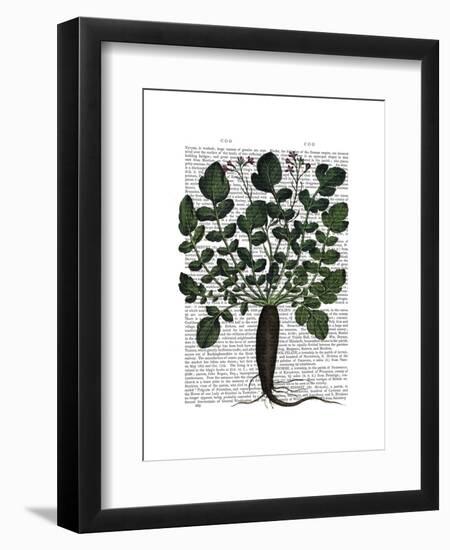 Parsnip 4-Fab Funky-Framed Art Print