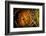 Parson's chameleon eye, Madagascar-Alex Hyde-Framed Photographic Print