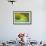 Parsons Chameleon, Madagascar-Paul Souders-Framed Photographic Print displayed on a wall