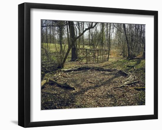 Part of a forest kindergarten in the wood with circle on the floor-Axel Killian-Framed Photographic Print
