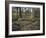 Part of a forest kindergarten in the wood with circle on the floor-Axel Killian-Framed Photographic Print