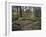 Part of a forest kindergarten in the wood with circle on the floor-Axel Killian-Framed Photographic Print