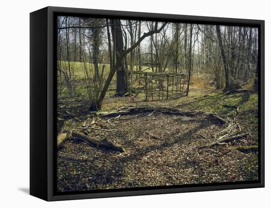 Part of a forest kindergarten in the wood with circle on the floor-Axel Killian-Framed Premier Image Canvas