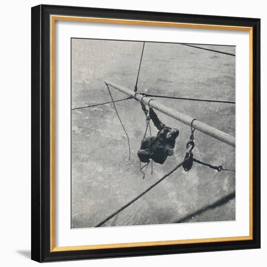 'Part of the job', 1941-Cecil Beaton-Framed Photographic Print