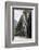 Part of the Seven Sisters waterfall, Geiranger Fjord, More og Romsdal-Tony Waltham-Framed Photographic Print