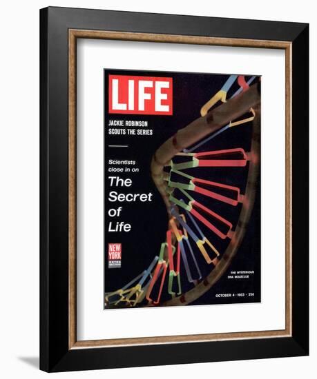 Partial DNA Helix Model, Advances in Gene Research, October 4, 1963-Fritz Goro-Framed Photographic Print