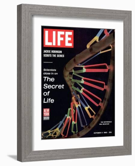 Partial DNA Helix Model, Advances in Gene Research, October 4, 1963-Fritz Goro-Framed Photographic Print