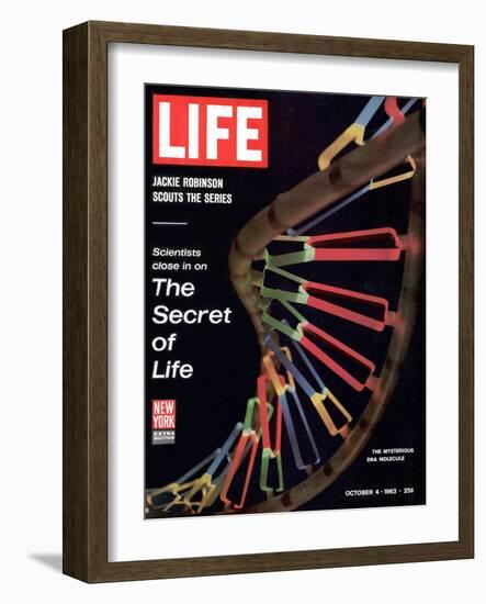 Partial DNA Helix Model, Advances in Gene Research, October 4, 1963-Fritz Goro-Framed Photographic Print