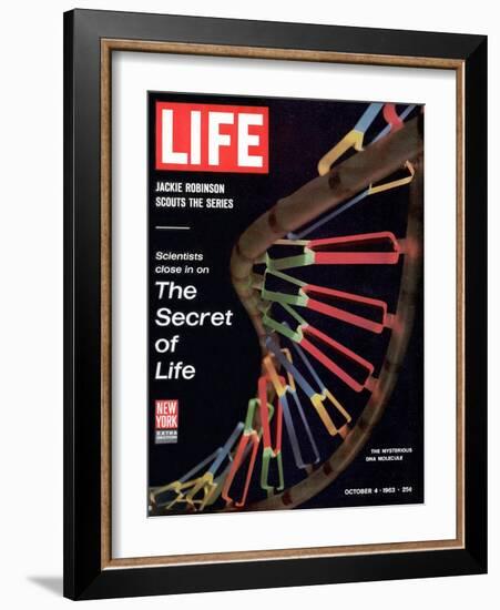 Partial DNA Helix Model, Advances in Gene Research, October 4, 1963-Fritz Goro-Framed Photographic Print