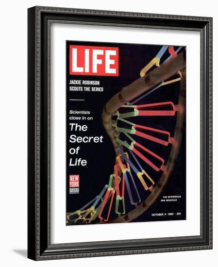 Partial DNA Helix Model, Advances in Gene Research, October 4, 1963-Fritz Goro-Framed Photographic Print