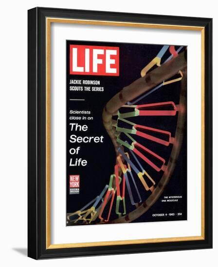 Partial DNA Helix Model, Advances in Gene Research, October 4, 1963-Fritz Goro-Framed Photographic Print