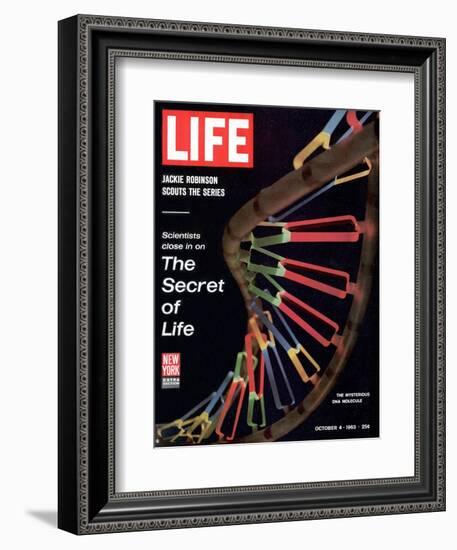 Partial DNA Helix Model, Advances in Gene Research, October 4, 1963-Fritz Goro-Framed Photographic Print