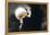 Partial Lunar Eclipse-Detlev Van Ravenswaay-Framed Premier Image Canvas