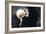 Partial Lunar Eclipse-Detlev Van Ravenswaay-Framed Photographic Print