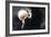 Partial Lunar Eclipse-Detlev Van Ravenswaay-Framed Photographic Print