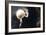 Partial Lunar Eclipse-Detlev Van Ravenswaay-Framed Photographic Print