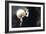 Partial Lunar Eclipse-Detlev Van Ravenswaay-Framed Photographic Print