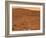 Partial Seminole Panorama of Mars-Stocktrek Images-Framed Photographic Print