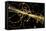 Particle Physics Experiment, Artwork-Equinox Graphics-Framed Premier Image Canvas