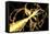 Particle Physics Experiment, Artwork-Equinox Graphics-Framed Premier Image Canvas