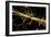 Particle Physics Experiment, Artwork-Equinox Graphics-Framed Photographic Print