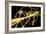 Particle Physics Experiment, Artwork-Equinox Graphics-Framed Photographic Print