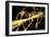 Particle Physics Experiment, Artwork-Equinox Graphics-Framed Photographic Print