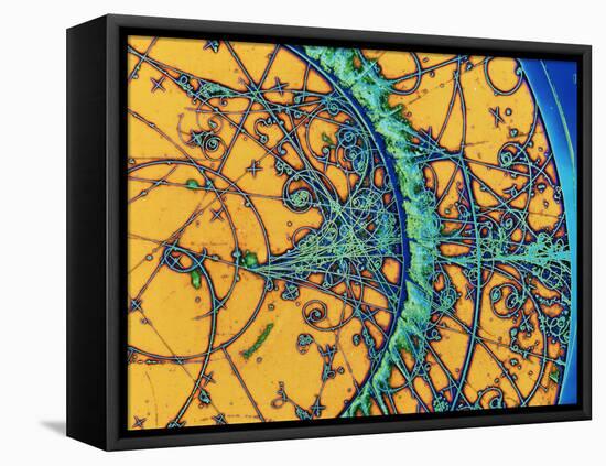 Particle Tracks-Patrice Loiez-Framed Premier Image Canvas