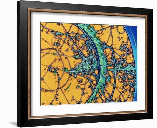 Particle Tracks-Patrice Loiez-Framed Photographic Print