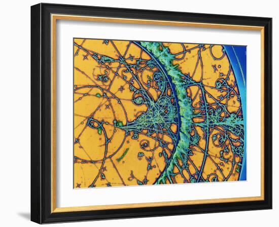 Particle Tracks-Patrice Loiez-Framed Photographic Print