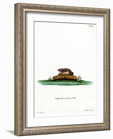 Particoloured Bat-null-Framed Giclee Print