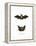 Particoloured Bat-null-Framed Premier Image Canvas