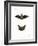 Particoloured Bat-null-Framed Giclee Print