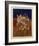 Partie Aus G-Paul Klee-Framed Giclee Print