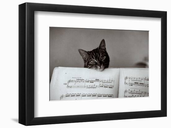 Partition-Edouard Boubat-Framed Art Print