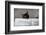 Partition-Edouard Boubat-Framed Art Print