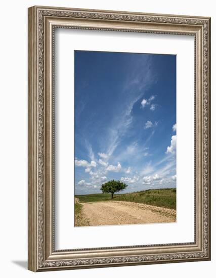 Partly cloudy day in the Flint Hills of Kansas-Michael Scheufler-Framed Photographic Print