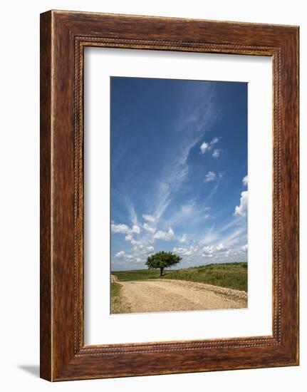 Partly cloudy day in the Flint Hills of Kansas-Michael Scheufler-Framed Photographic Print