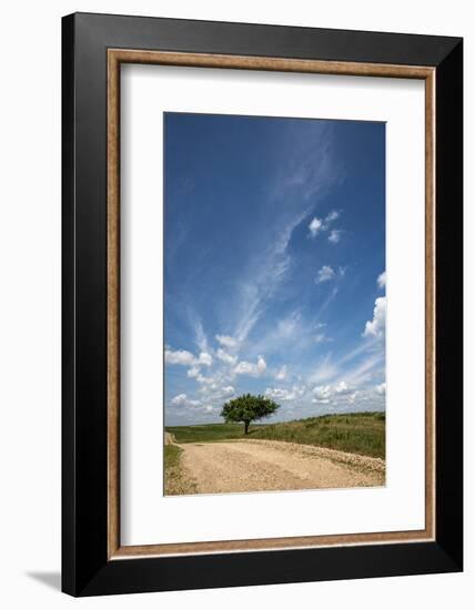 Partly cloudy day in the Flint Hills of Kansas-Michael Scheufler-Framed Photographic Print