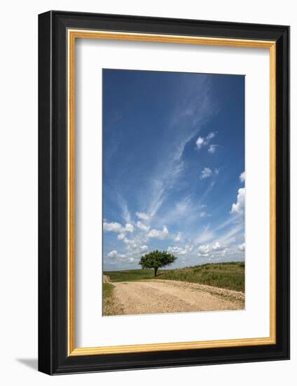 Partly cloudy day in the Flint Hills of Kansas-Michael Scheufler-Framed Photographic Print