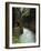 Partnachklamm, Partnach Gorge, Near Garmisch-Partenkirchen, Bavaria, Germany, Europe-Gary Cook-Framed Photographic Print