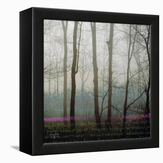 Partners II-Studio 2-Framed Premier Image Canvas