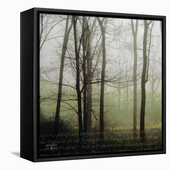 Partners III-Studio 2-Framed Premier Image Canvas